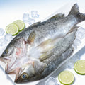 Premium Whole Sea Bass